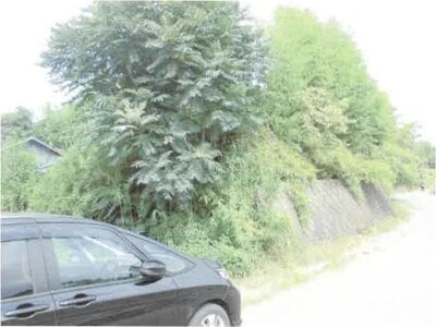 群馬県前橋市 大胡駅8分 農地 532万円の競売物件情報 #8