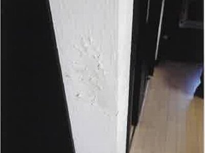 神奈川県相模原市南区 小田急相模原駅14分 戸建て 1,734万円の競売物件情報 #5