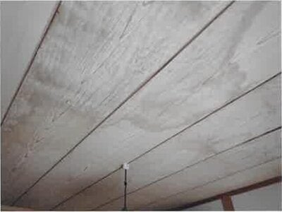 神奈川県相模原市中央区 淵野辺駅16分 戸建て 556万円の競売物件情報 #6