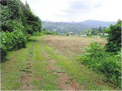 神奈川県相模原市緑区 相模湖駅 戸建て 608万円の競売物件情報 #10