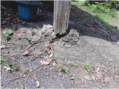 神奈川県相模原市緑区 相模湖駅 戸建て 608万円の競売物件情報 #8