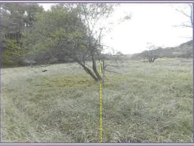 山梨県南都留郡山中湖村 駿河小山駅 土地 340万円の競売物件情報 #2