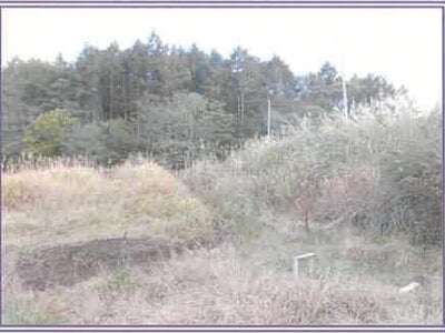 山梨県南都留郡山中湖村 駿河小山駅 土地 340万円の競売物件情報 #6