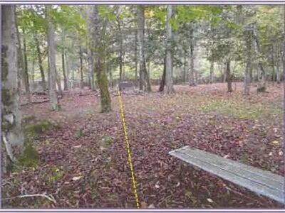 山梨県南都留郡山中湖村 土地 365万円の競売物件情報 #10