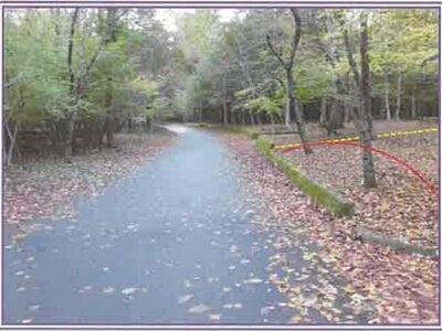 山梨県南都留郡山中湖村 土地 365万円の競売物件情報 #3