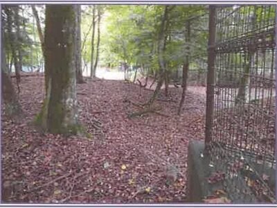 山梨県南都留郡山中湖村 土地 365万円の競売物件情報 #4