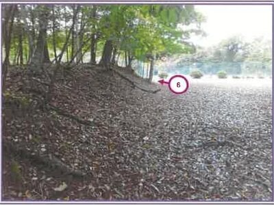 山梨県南都留郡山中湖村 土地 365万円の競売物件情報 #5