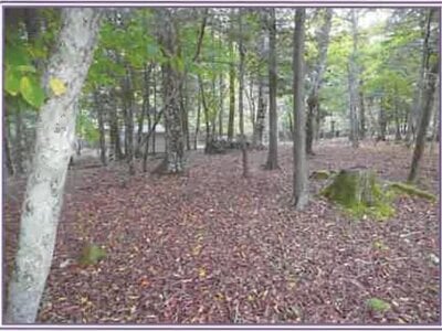 山梨県南都留郡山中湖村 土地 365万円の競売物件情報 #7