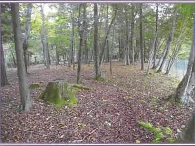 山梨県南都留郡山中湖村 土地 365万円の競売物件情報 #8