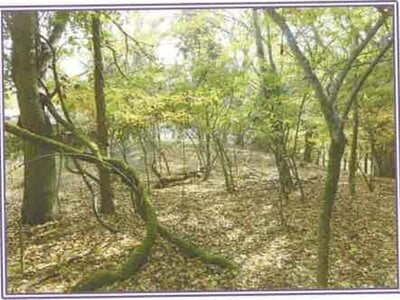 山梨県南都留郡山中湖村 土地 280万円の競売物件情報 #2