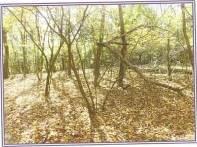 山梨県南都留郡山中湖村 土地 280万円の競売物件情報 #3