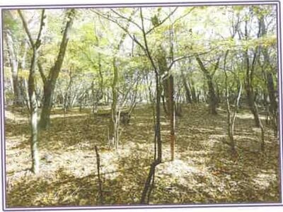 山梨県南都留郡山中湖村 土地 280万円の競売物件情報 #4