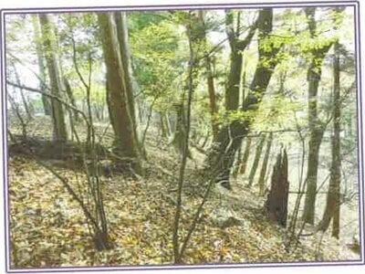 山梨県南都留郡山中湖村 土地 280万円の競売物件情報 #5