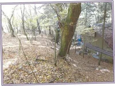 山梨県南都留郡山中湖村 土地 280万円の競売物件情報 #6