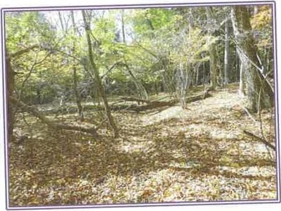 山梨県南都留郡山中湖村 土地 280万円の競売物件情報 #9