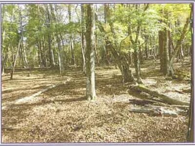 山梨県南都留郡山中湖村 土地 116万円の競売物件情報 #2