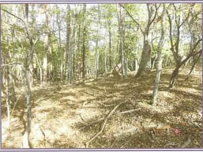 山梨県南都留郡山中湖村 土地 116万円の競売物件情報 #3