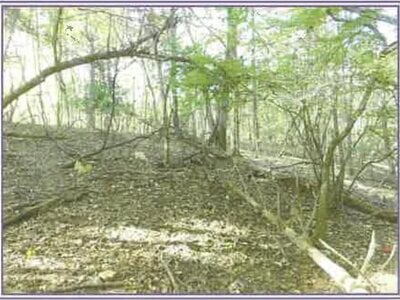 山梨県南都留郡山中湖村 土地 116万円の競売物件情報 #4