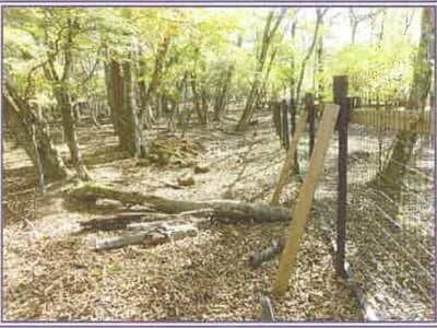 山梨県南都留郡山中湖村 土地 116万円の競売物件情報 #6