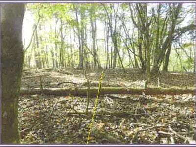 山梨県南都留郡山中湖村 土地 116万円の競売物件情報 #7