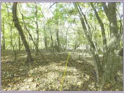 山梨県南都留郡山中湖村 土地 116万円の競売物件情報 #8