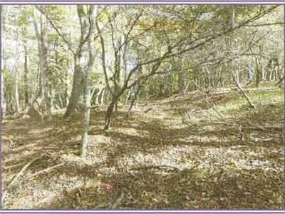 山梨県南都留郡山中湖村 土地 116万円の競売物件情報 #9