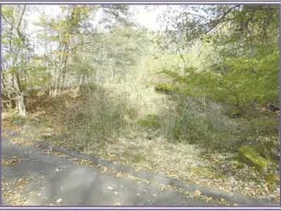 山梨県南都留郡山中湖村 土地 68万円の競売物件情報 #2