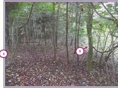 山梨県南都留郡山中湖村 土地 68万円の競売物件情報 #3