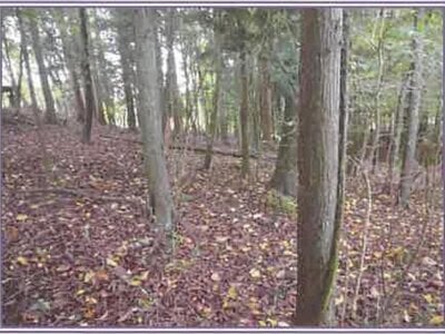 山梨県南都留郡山中湖村 土地 68万円の競売物件情報 #4