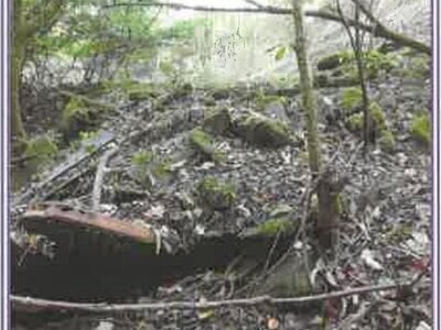 山梨県南都留郡山中湖村 土地 68万円の競売物件情報 #6