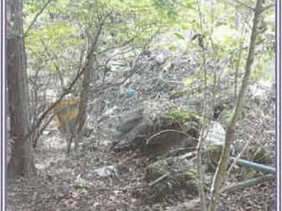 山梨県南都留郡山中湖村 土地 68万円の競売物件情報 #7