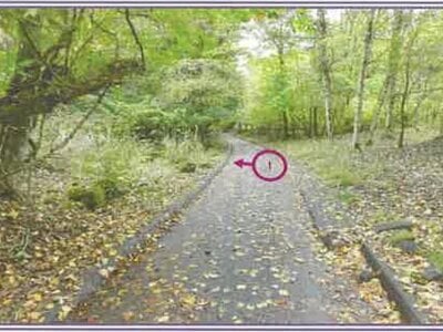 山梨県南都留郡山中湖村 土地 68万円の競売物件情報 #8