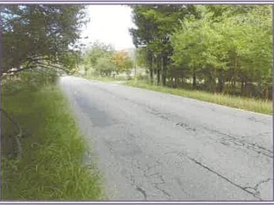 山梨県南都留郡山中湖村 農地 1,515万円の競売物件情報 #14