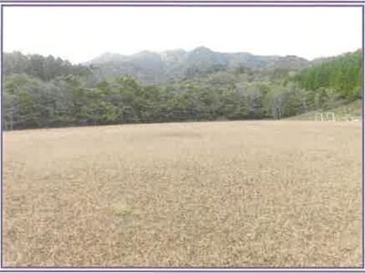 山梨県南都留郡山中湖村 農地 1,515万円の競売物件情報 #3