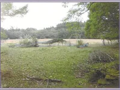 山梨県南都留郡山中湖村 農地 1,515万円の競売物件情報 #4