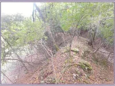 山梨県南都留郡山中湖村 農地 1,515万円の競売物件情報 #5