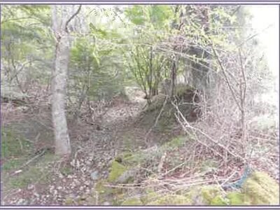 山梨県南都留郡山中湖村 農地 1,515万円の競売物件情報 #6