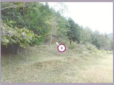 山梨県南都留郡山中湖村 農地 1,515万円の競売物件情報 #7