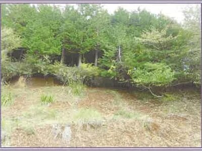 山梨県南都留郡山中湖村 農地 1,515万円の競売物件情報 #8