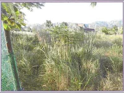 山梨県南都留郡山中湖村 農地 233万円の競売物件情報 #4