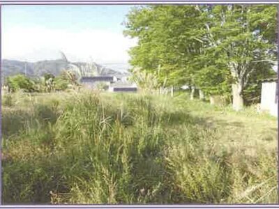 山梨県南都留郡山中湖村 農地 233万円の競売物件情報 #5