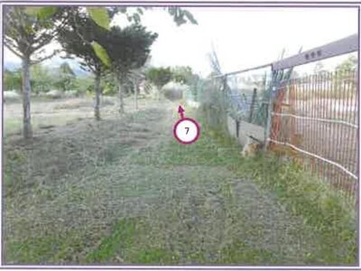 山梨県南都留郡山中湖村 農地 233万円の競売物件情報 #6