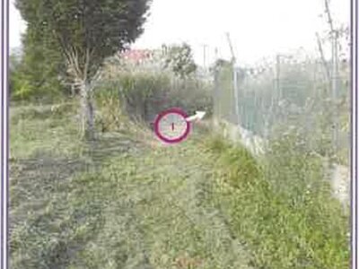 山梨県南都留郡山中湖村 農地 233万円の競売物件情報 #7