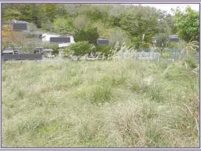 山梨県南都留郡山中湖村 農地 137万円の競売物件情報 #3