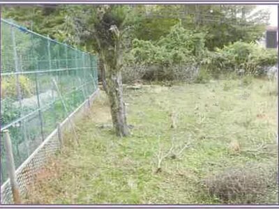 山梨県南都留郡山中湖村 農地 137万円の競売物件情報 #6