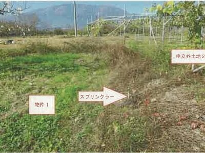 山梨県南アルプス市 小井川駅 農地 30万円の競売物件情報 #5