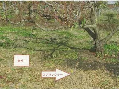 山梨県南アルプス市 小井川駅 農地 30万円の競売物件情報 #6