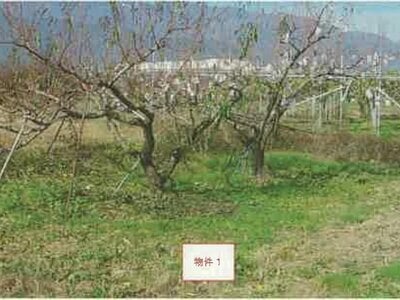 山梨県南アルプス市 小井川駅 農地 30万円の競売物件情報 #7