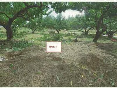 山梨県南アルプス市 小井川駅 農地 55万円の競売物件情報 #10