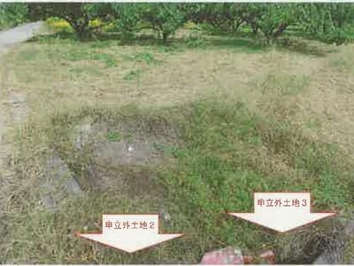 山梨県南アルプス市 小井川駅 農地 55万円の競売物件情報 #2